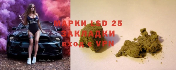 индика Новокубанск