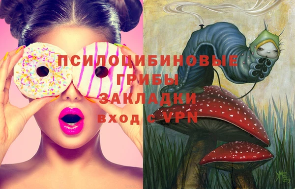 индика Новокубанск