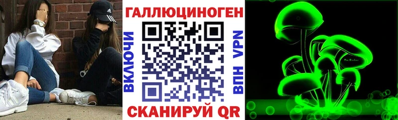 где можно купить   Онега  Псилоцибиновые грибы MAGIC MUSHROOMS 